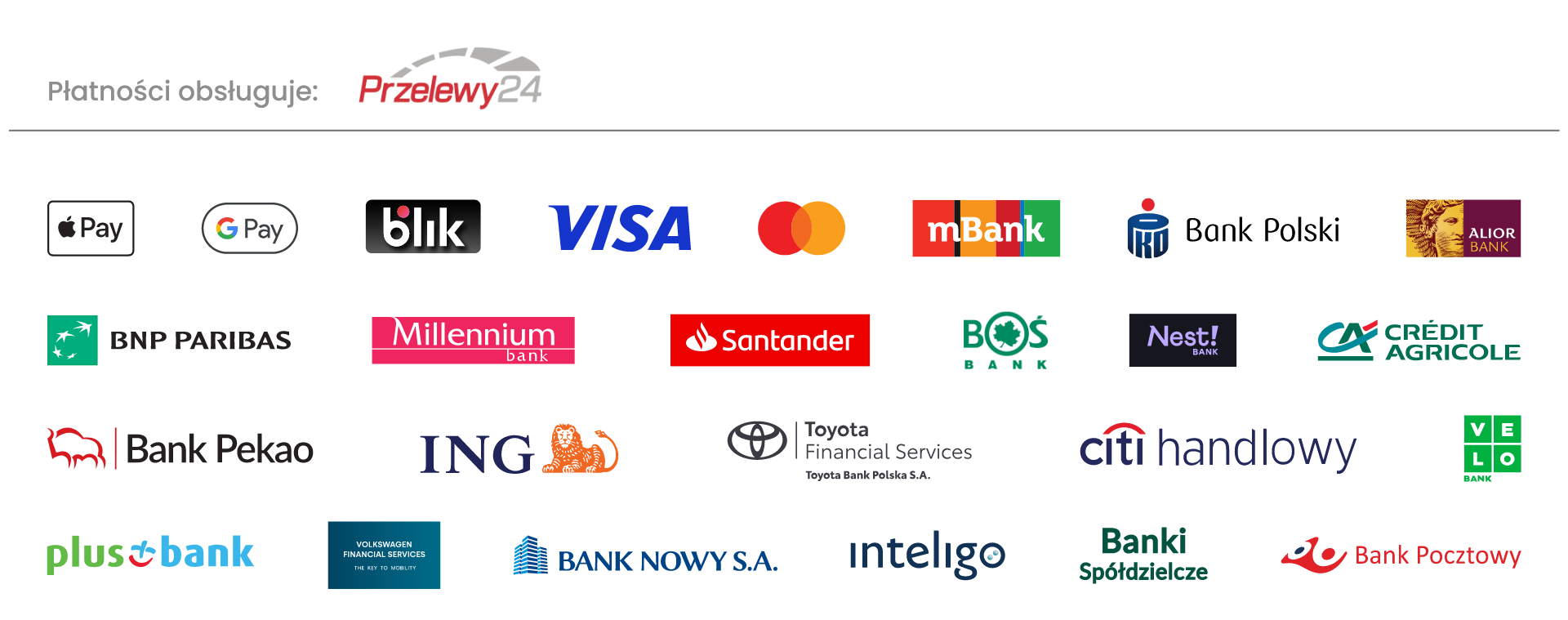 Płatności obsługuje Przelewy24: między innymi BLIK, Visa i Mastercard